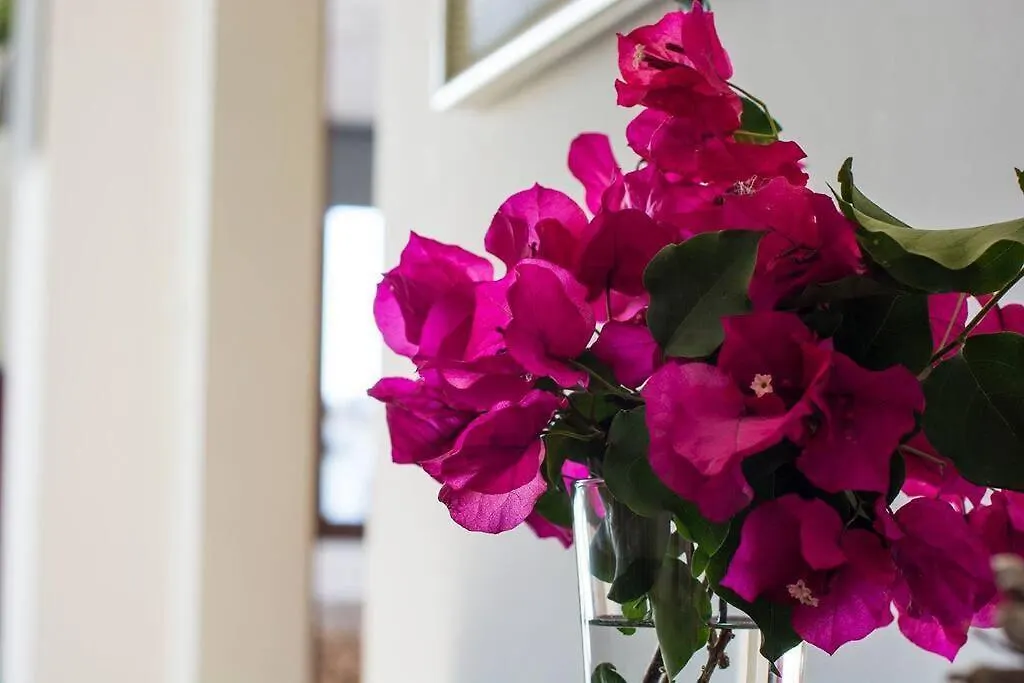 Apartamento 33, Frigiliana Spacious Family Apartment With Large Pool In The Town Center Hansonholiday Rentals